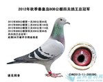 头相