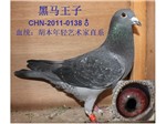 头相