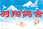 头相