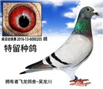 头相