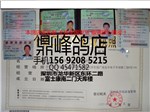 头相