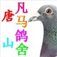 头相