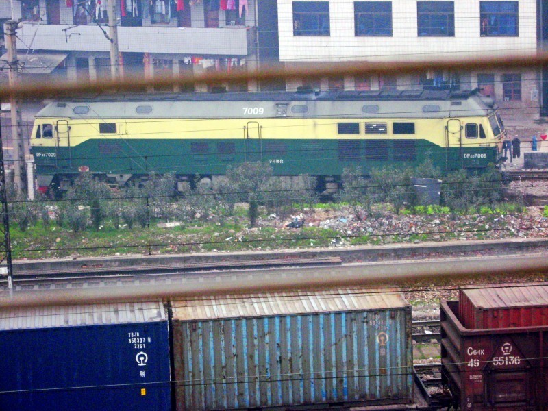 我的新鸽舍_相册_闽神鸽苑