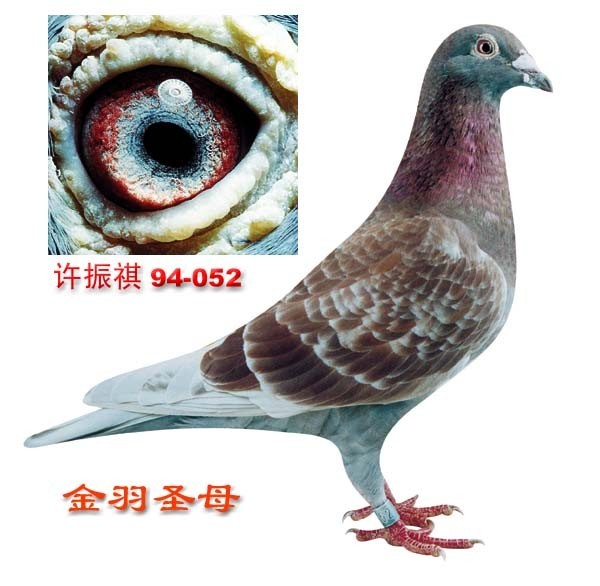 ʥĸ(ղɭŮ)