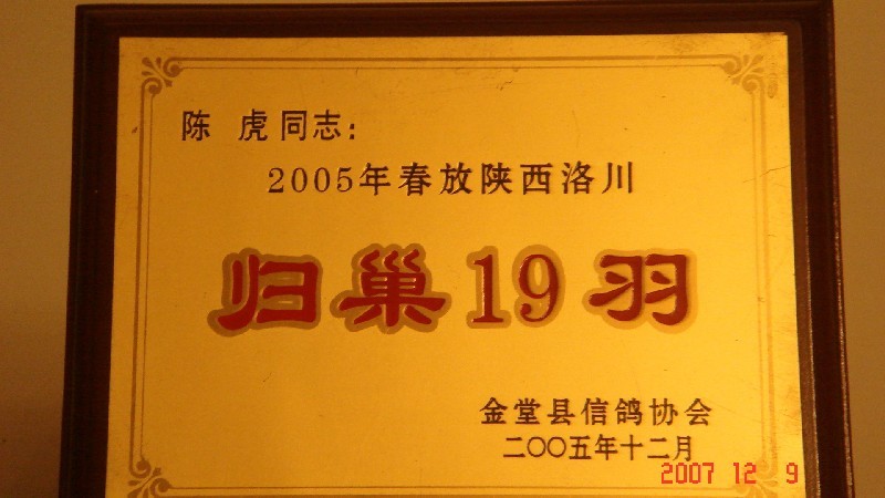拂晓鸽舍