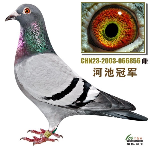 33a40ad5-e2c0-4d52-b320-ed7d46e38b9a.jpg