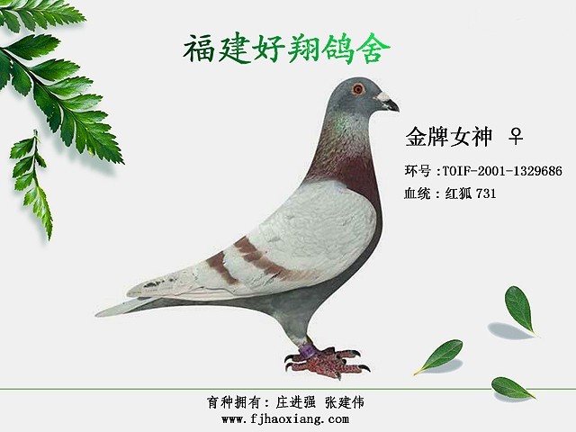 64b31a29-237c-4373-8137-725fc42a3801_xxxx.jpg