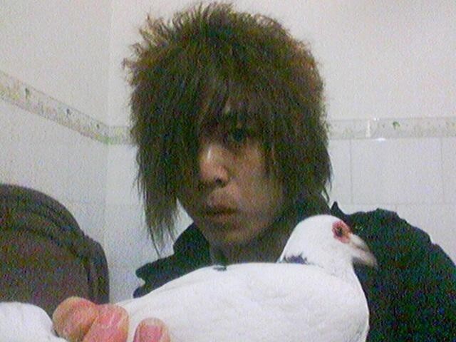 _相册_厦门孤男鸽舍