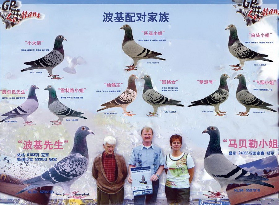 波基配对家族 _拍卖会_北京市展翔强豪国际商贸中心()